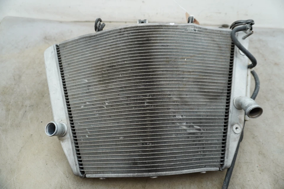 2006 SUZUKI GSXR 1000 RADIATOR AND OVERFLOW JUG E-4037 Foto 1 de 4