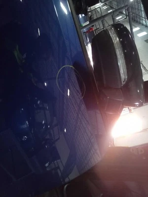 Volkswagen Beetle 2013 puerta derecha abolladuras azules 105 k millas fabricante de equipos originales pieza usada Foto 1 de 3