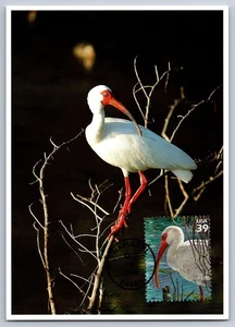 #4099j Southern Florida Wetland White Ibis FDC Maxi Card w/Pictorial Cancel - Picture 1 of 2