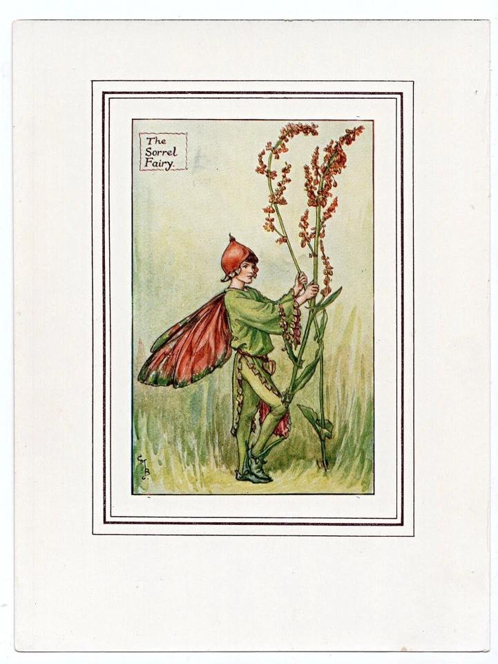 1930's Sorrel Flower Fairy, Fairies Print by Cicely Barker - image 1 of 1