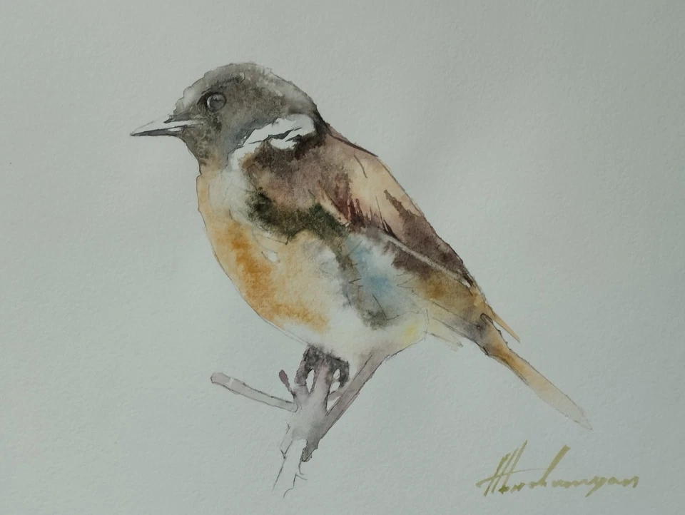 Pájaro verde, pájaros, arte en acuarela, hecho a mano, pintura original sobre papel Foto 1 de 1