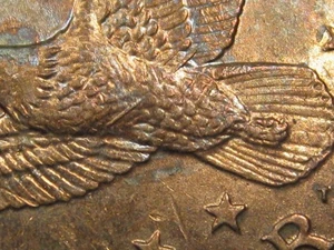 ERROR: 2000-P Sacagawea Native American Dollar Wounded/Speared Eagle Variety.. - Picture 1 of 11