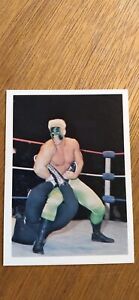 1987 NWA Wonderama Sting 🦂 Rookie Test Market Brown Back Mint 🔥 See pics 👀 