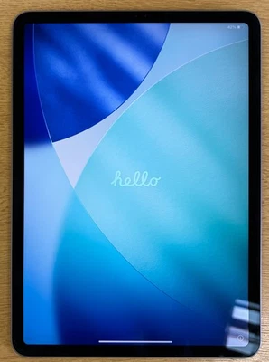 Apple iPad Pro 2nd Gen. 256GB, Wi-Fi, 11 in - Space Grey  MINT CONDITION - Image 1 of 4