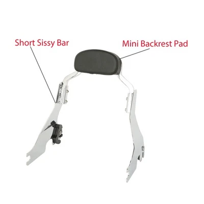Respaldo de barra Sissy de pasajero corto apto para Harley Sportster XL883 1200 04-22 Foto 1 de 4