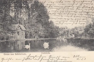 Gruss aus Schönlinde Krasna Lipa AK 1906 Böhmen Tschechien Ceska 2301107 - Picture 1 of 2