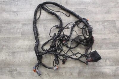 Harley-Davidson 03 Electra Glide Road FLH ARNÉS DE CABLEADO DEL MOTOR PRINCIPAL CABLE DEL MOTOR  Foto 1 de 4