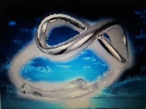 Anillo Infinito Plata 925 Ajustable Cualquier Medida Infinito de Amor - Imagen 1 de 1