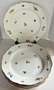 4 platos de cena florales de porcelana Hutschenreuther Mirabell Maria Theresa 9,75" - Imagen 1 de 5