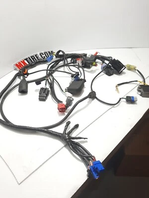 ARNÉS DE CABLEADO A44011075100 2023/24 KTM 125/250/300 Foto 1 de 3