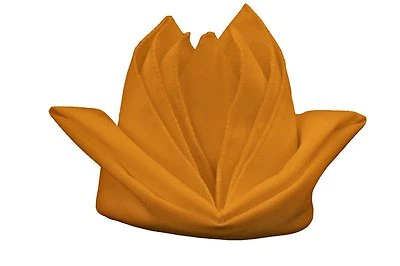 50 Piezas Servilletas Poliéster 20" x 20" Boda Fiesta Evento Catering 24 COLORES EE. UU. Foto 1 de 4