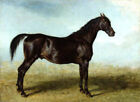 peinture à l'huile de haute qualité 100% peinte à la main sur toile "Un cheval de course"