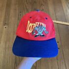 Vintage Miami Dolphins Hat Looney Tunes Taz Snap Back Nfl Cap Rare Red