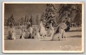 Winter Snow Big Bear Lake California WMP 1928 Real Photo RPPC - Picture 1 of 2