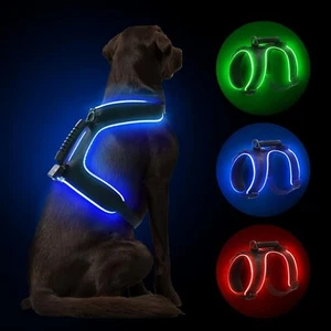 LED Hundegeschirr Leuchtend, Leuchtgeschirr, Aufladbar Verstellbar(XL) MASBRILL - Bild 1 von 2