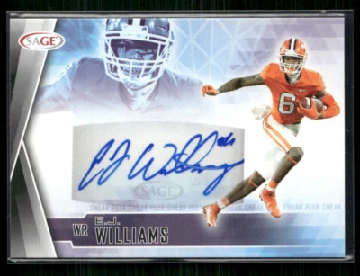 EJ Williams 2022 Sage Auto - Image 1 of 2