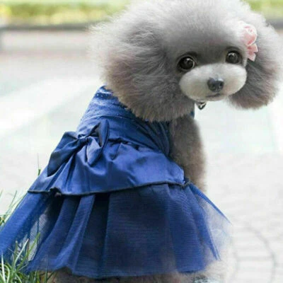 Lindo Vestido Tutú Perro Lazo Encaje Falda Mascota Cachorro Perro Gato Ropa Boda Foto 1 de 4
