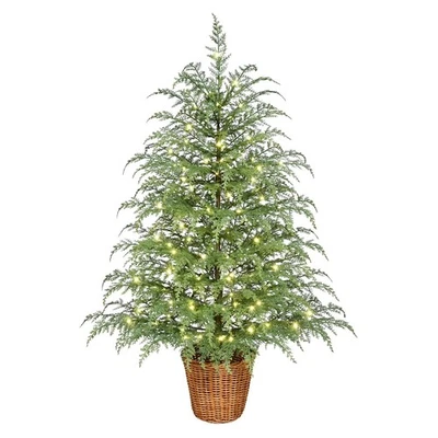 Green Cypress Artificial Christmas Potted Tree &100 Warm White Twinkle LED Light - Image 1 of 4