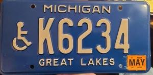 Targa Michigan 2007 K6234 disabili grandi laghi blu e bianco - Foto 1 di 1