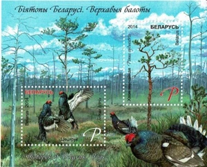 Estampilla de BIELORRUSIA 2014 - Biotopos de Bielorrusia - Bogs Estampillada sin montar o nunca montada - Imagen 1 de 1
