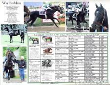 Race Horse Kentucky Derby WAR EMBLEM Victor Espinoza picture pedigree