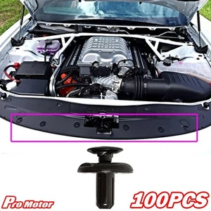 Retainer Clip Fastener Plastic Rivet Nylon Hood Door Dash Panel Bumper Fender P1 - Picture 1 of 2