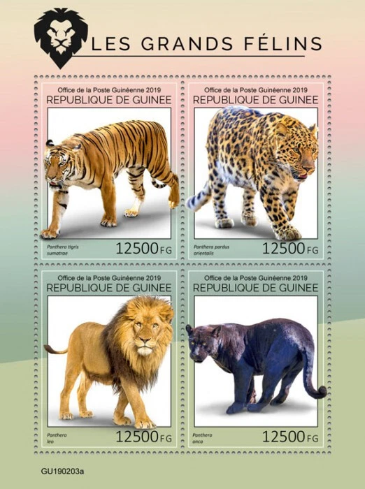 Estampillas de animales salvajes de Guinea 2019 MNH grandes gatos tigres leones panteras 4v M/S Foto 1 de 1