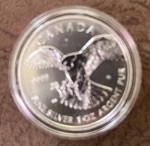 Silbermünzen Birds Of Prey Wanderfalke 2014 Canada In Kapsel Top Zustand 2x1oz - Bild 1 von 2