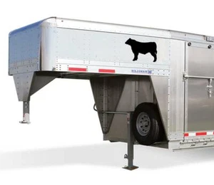 Calcomanías adhesivas Bull OS 155 (12 x 18" - Juego de 2 calcomanías) Angus Hereford ganado vaca - Imagen 1 de 3