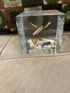 Vintage 1960's Lucite Seashells Fish Aquarium Paperweight Square 3x3 Sculpture - Picture 1 of 7