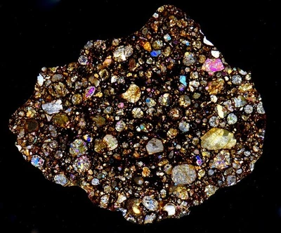 Meteorite NWA 12341 - L3 Chondrite with stunning Chondrules ! Thin Section - image 1 of 4
