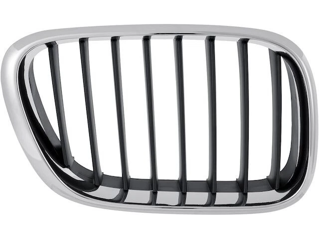 右 - 乘客侧格栅组件适用于 2000 - 2003 宝马 X5 2002 2001 JN961RZ — 第 1/1 张图片