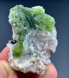 166 Carat Tourmaline Crystal With Kunzite Specimen From Afghanistan. - Picture 1 of 7