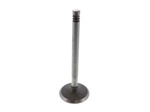 Intake Valve 51YXRV84 for Beetle Campmobile Fastback Karmann Ghia Squareback - Picture 1 of 1