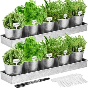 Garden Herb Galvanized Metal 10 Pots 2 Trays Botanical Farmhouse Window INDUSTRI - Picture 1 of 2