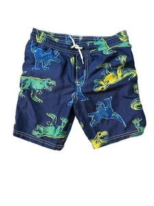 Boys Dinosaur Trunk Size 6 - Picture 1 of 3