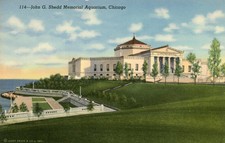 Chicago Illinois "John G. Shedd Memorial Aquarium" Unused Linen Postcard