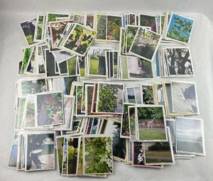 Lot of 200+ Oregon around Portland Nature Photos Semi-Professional Photographer - Picture 1 of 4