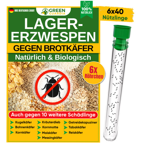 Bild 1 von 7