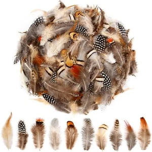300 Pcs 10 Style Natural Feathers Assorted Mixed for Dream Catcher DIY Crafts - Picture 1 of 7