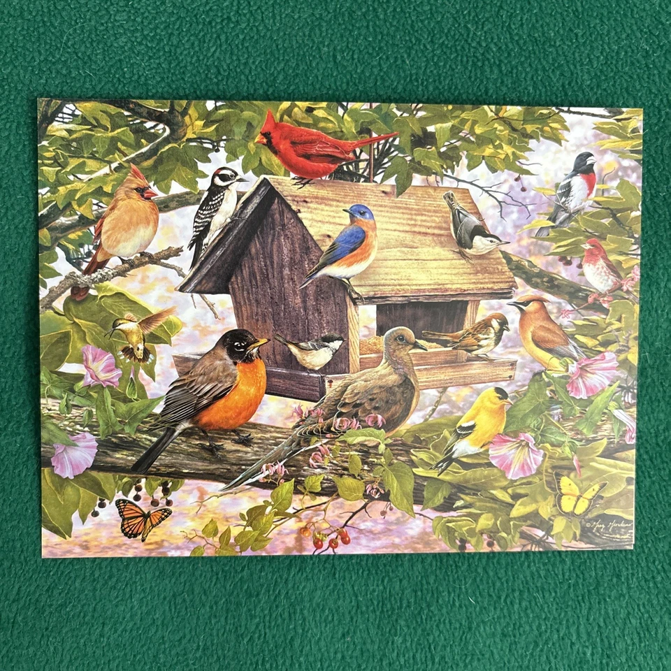 Leanin Tree Hotter Than a Pistol 20 Greeting Cards Assortment #90778 Humorous