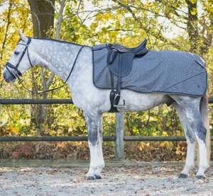 QHP Ausreitdecke Turnout Collection gefüttert Grey Reflective 1200D - Picture 1 of 3