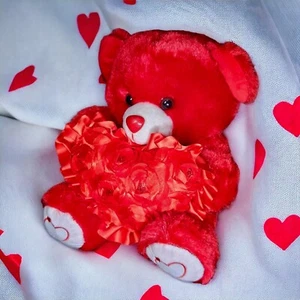 Red light up teddy bear Talking Valentine's Day Plush "I Love You" Sequin Heart - Picture 1 of 12