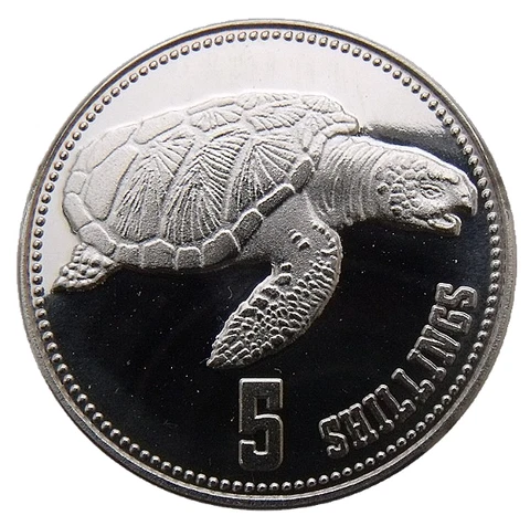 SOMALILAND 5 SHILLINGS 2019 SEA TURTLE SWIMMING BUNC Cover