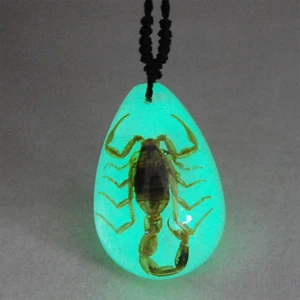 REAL GOLDEN SCORPION GLOW LUCITE PENDANT NECKLACE INSECT JEWELRY TAXIDERMY GIFT - Picture 1 of 4