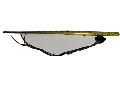 👍 2007-2013 BMW M3 328i 335i E92 LUZ TRASERA CABLE ORIGINAL OEM CUPÉ DERECHO DIESTRO  Foto 1 de 4