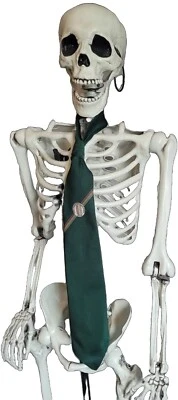 PGA European Golf Tour Necktie Green With PGA embroidered Logo - Imagem 1 de 4