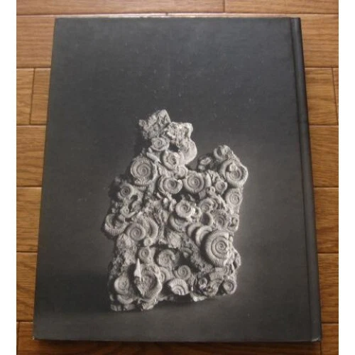 Hiroshi Sugimoto the Day After Hiroshi Sugimoto 海景 — 第 1/4 张图片