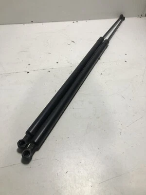 Renault Kangoo puerta trasera tapa bota puntal soporte gasolina 8200497806 16V K21 2011 Foto 1 de 4