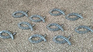 Horseshoe fish - Picture 1 of 2